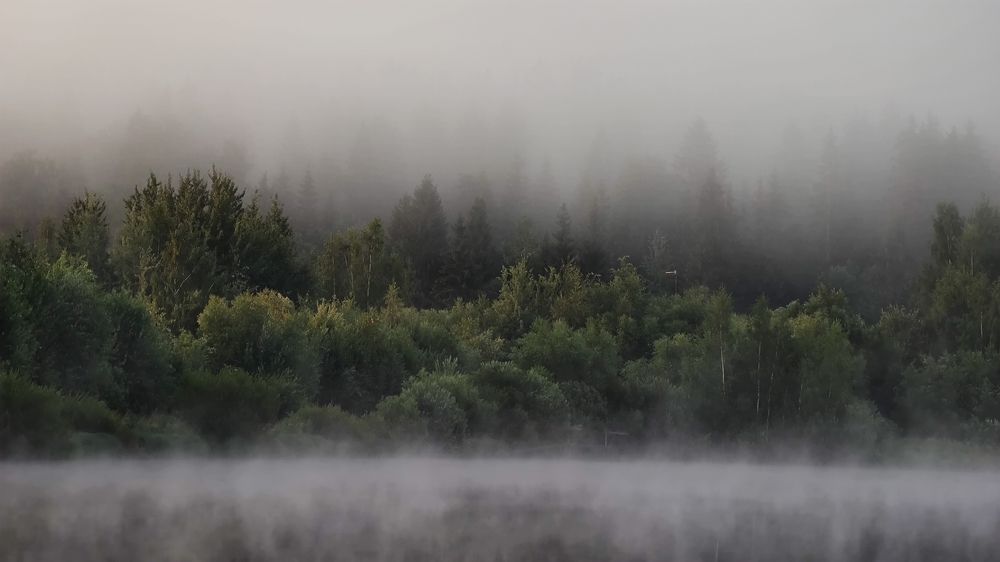 Photograph by Елена Румянцева