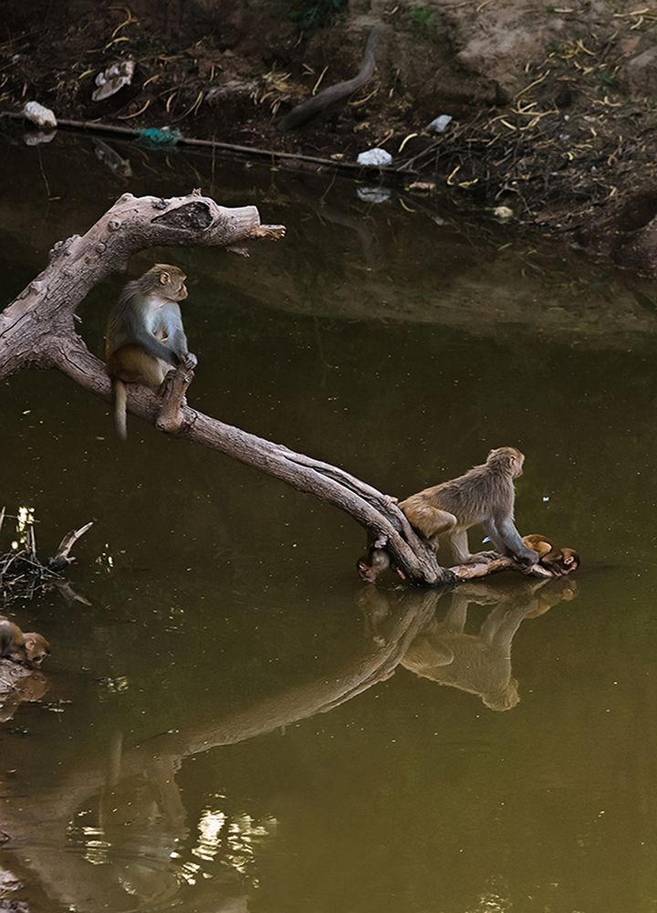 Bonding of mother and kids
