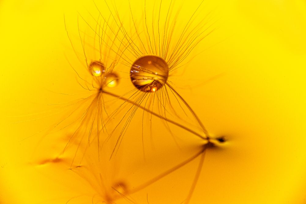 Photograph by Juraj Šulek