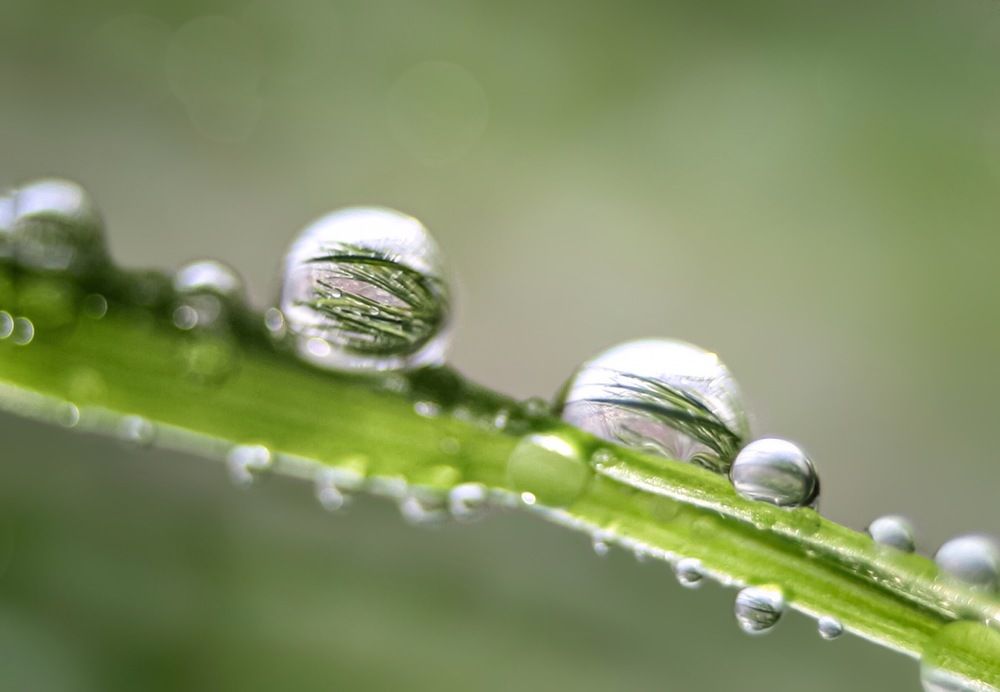 Photograph by Алена Царицына