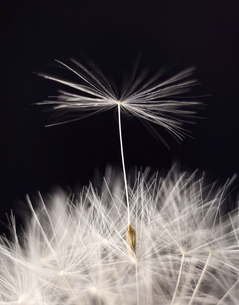 Одиночество