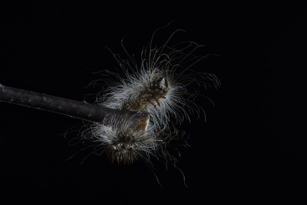 Дай я тебя обниму, друг