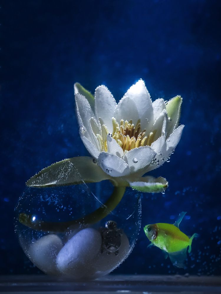 Photograph by Ольга Мурзина