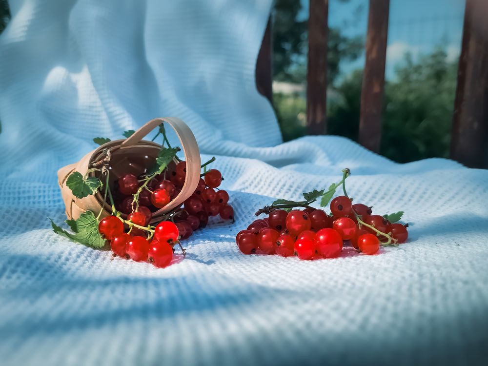 Photograph by Анна Кельмаева