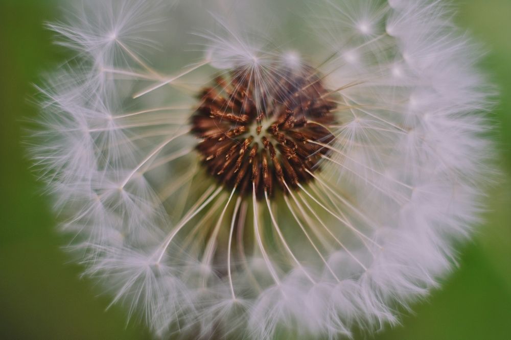 Photograph by Нина Писклова