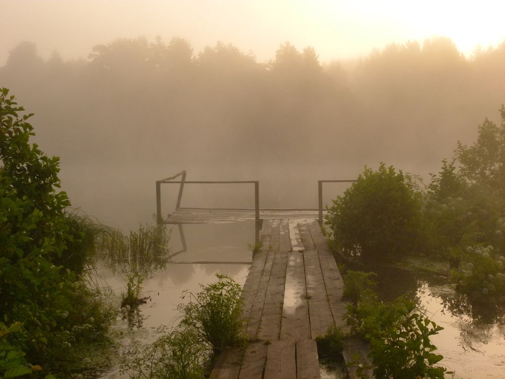 Photo #6317669