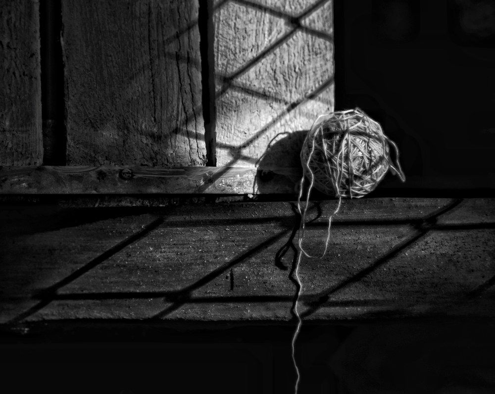 Photograph by Ilianis Cortés