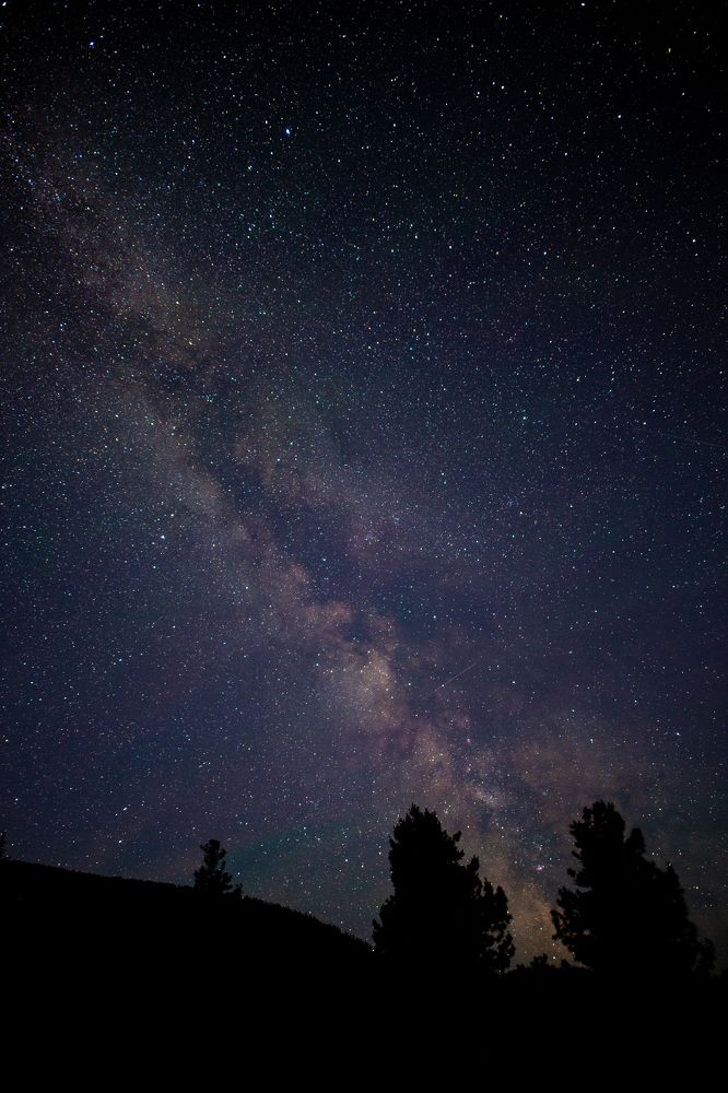 Photograph by Анна Дубровская