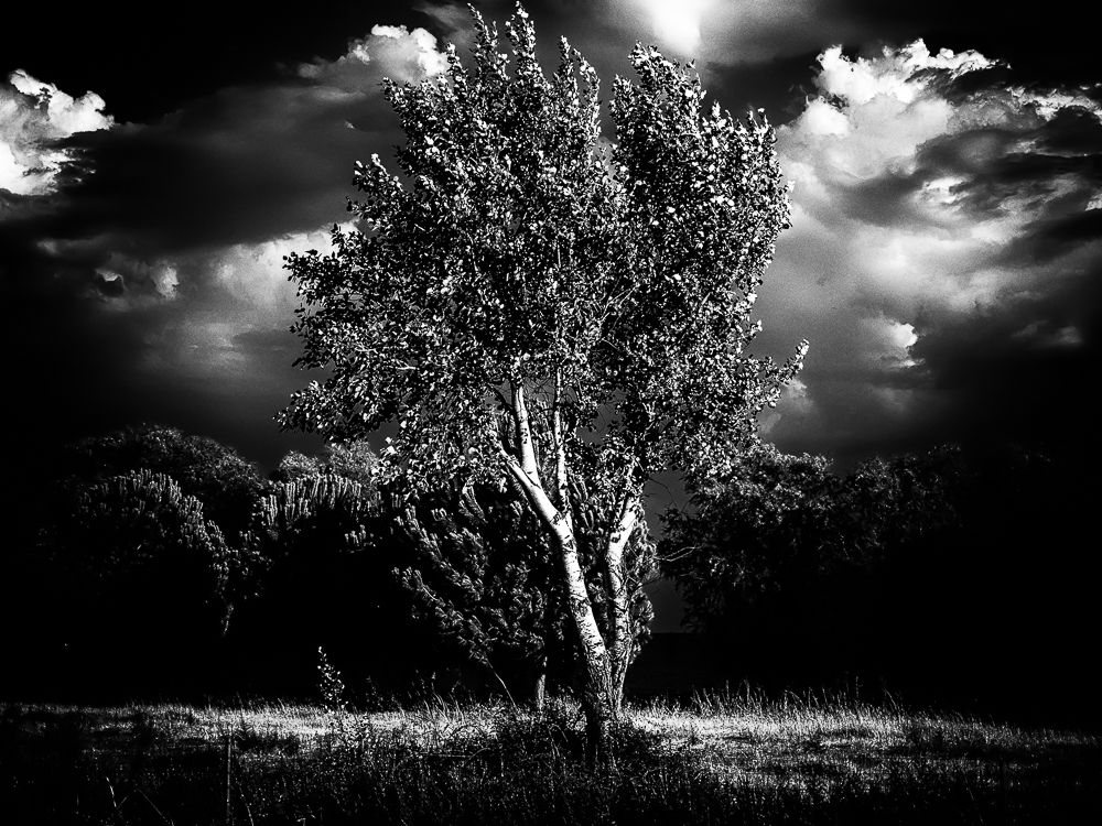 Photograph by Antonis Giakoumakis