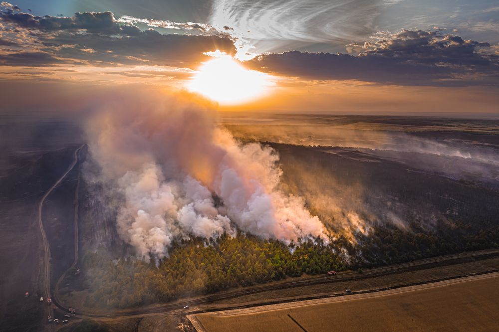 Photograph by Aleksey Mileshkin