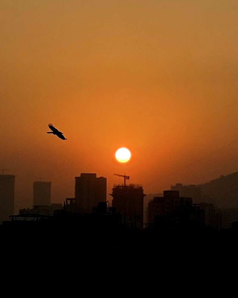 Фотография автора Om Pawar