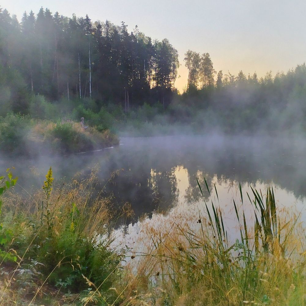 Photograph by Елена Павлова