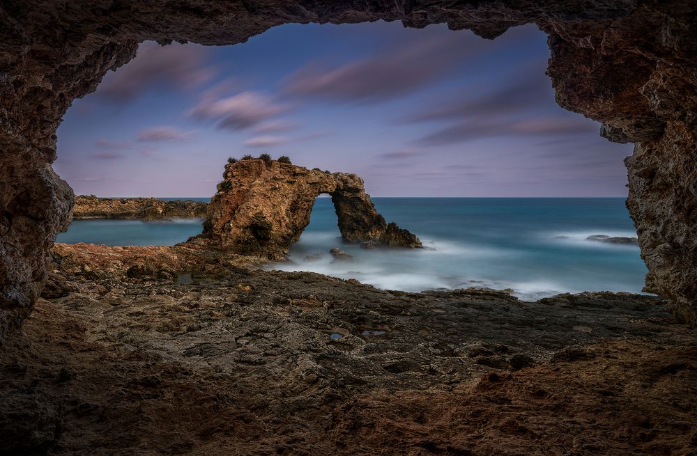 Fascino selvaggio -  Wild charm