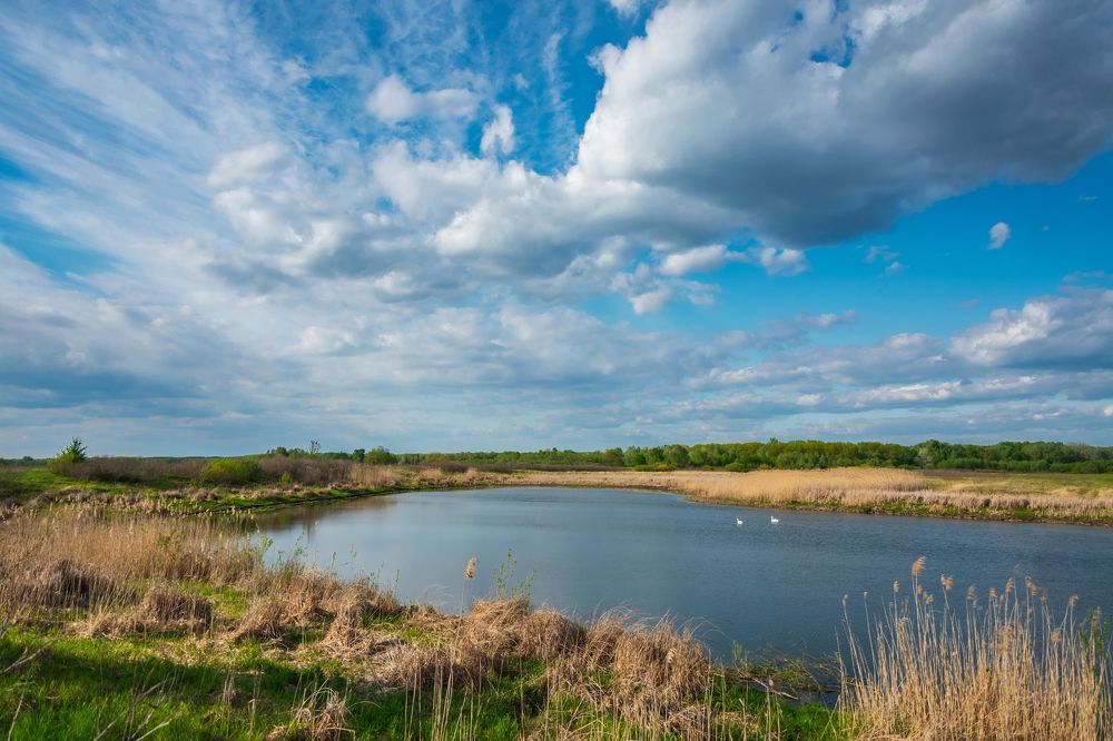 Photograph by Алексей Левенко