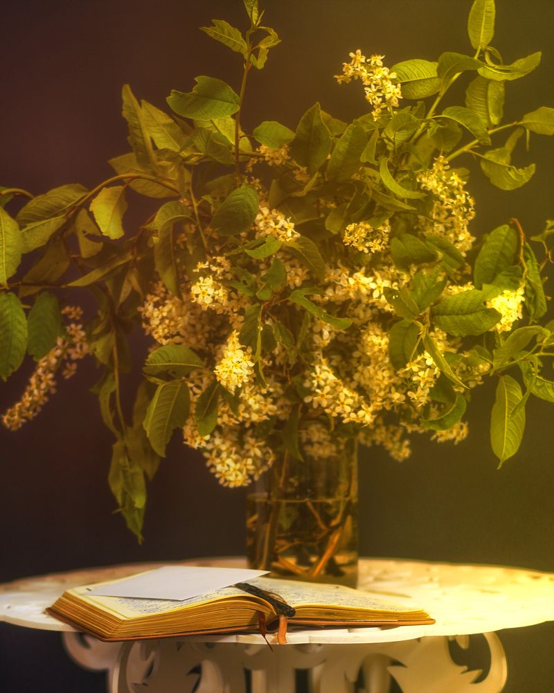 Photograph by Ирина Баландина