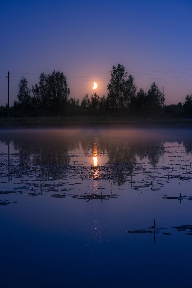 Photograph by Sandra