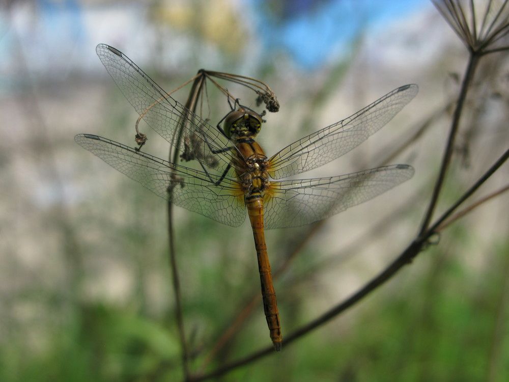 Photograph by Юлия Чиботарь