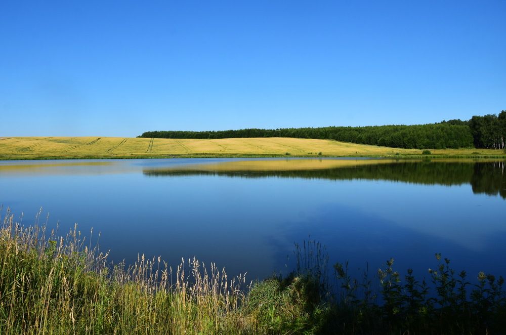 Photograph by Galina Leskova