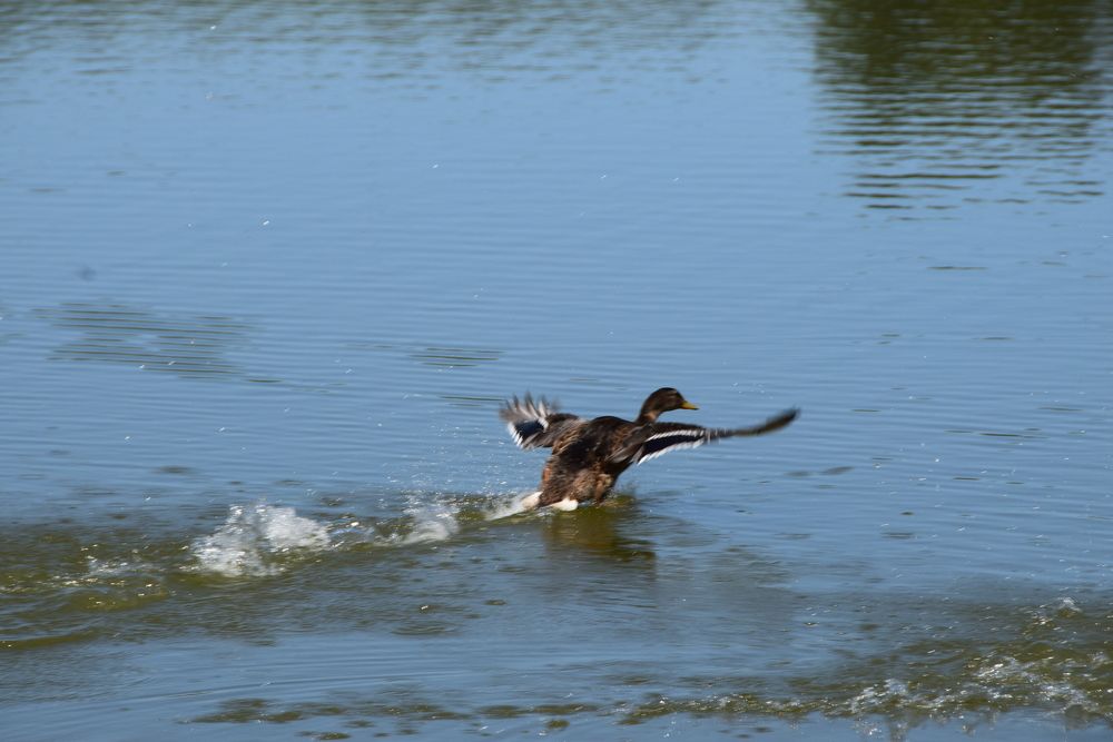 Photograph by Galina Leskova