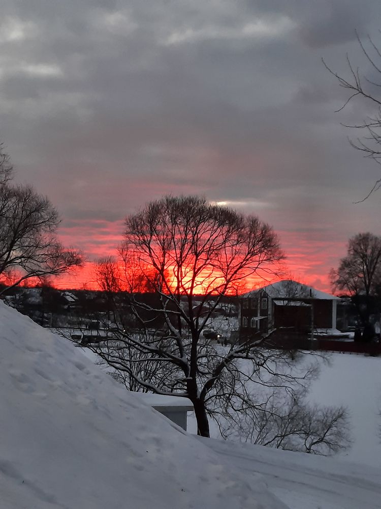 Photograph by Светлана Лебедева