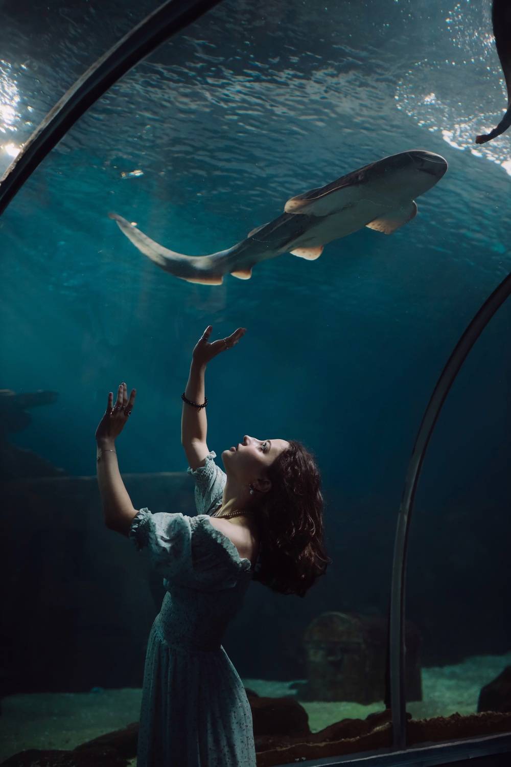 Фотография #6319054