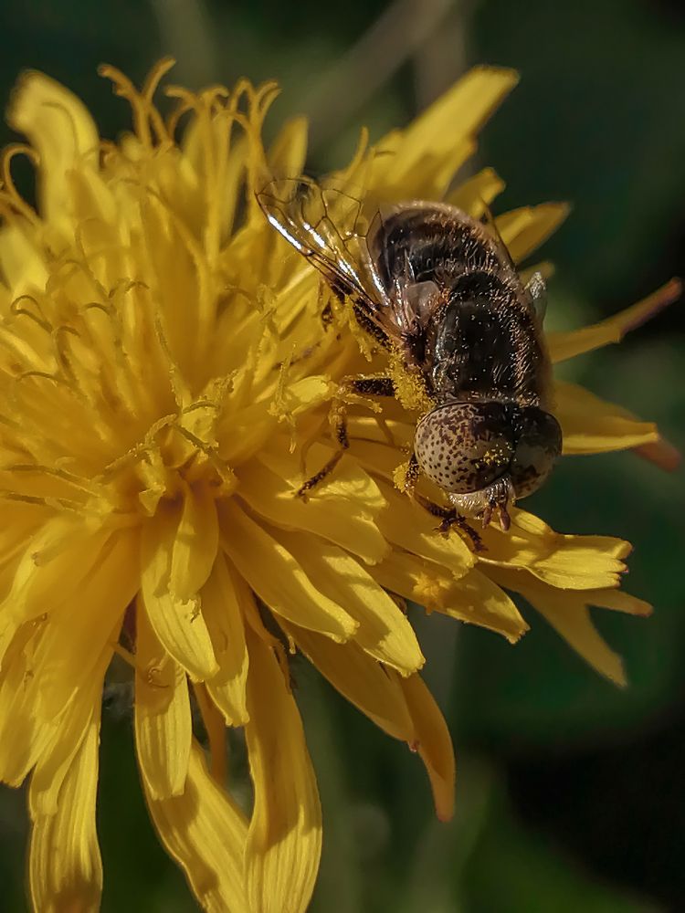 Photograph by Надежда Алешечкина