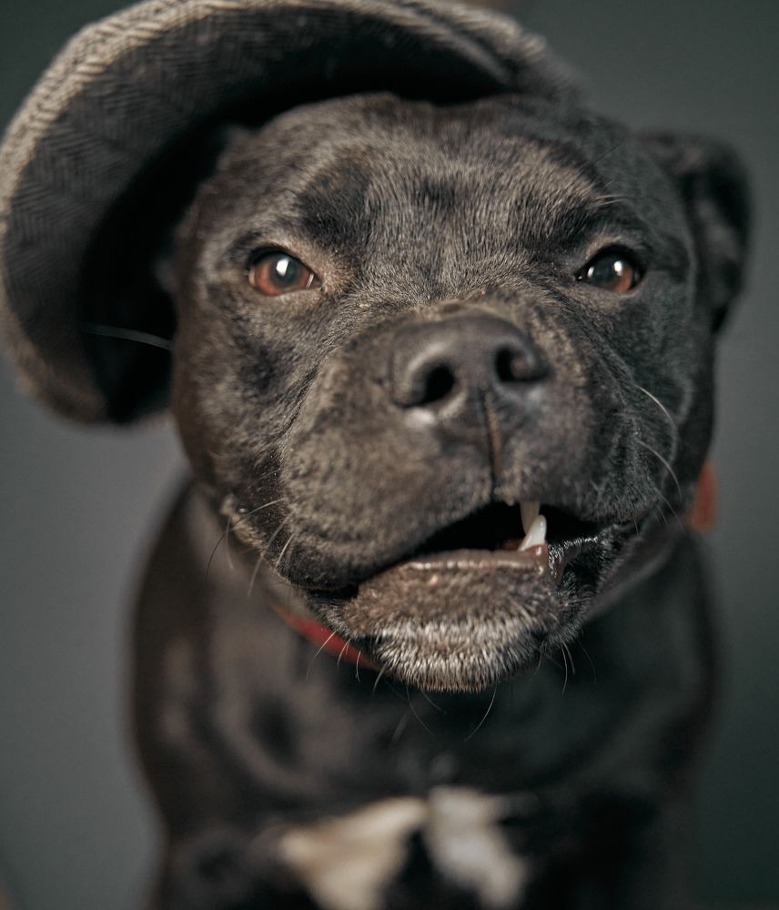 Фотография автора Dmitry Leonov