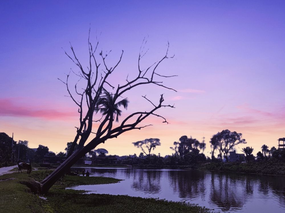 Photograph by Mohammad Jubair