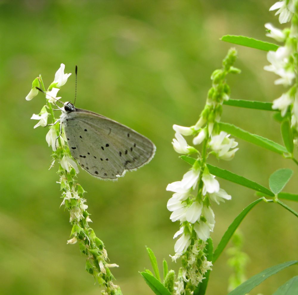Photograph by Юлия Чиботарь