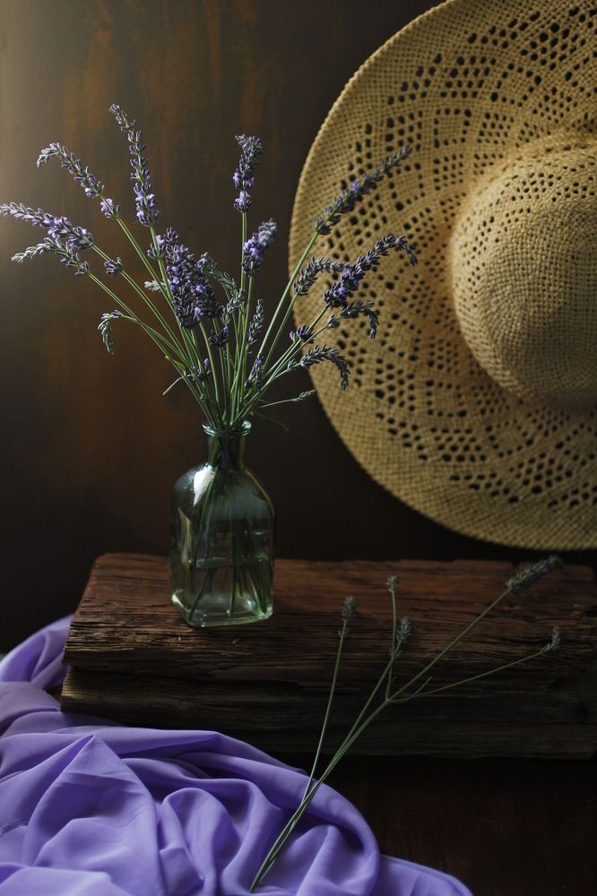 Photograph by Екатерина