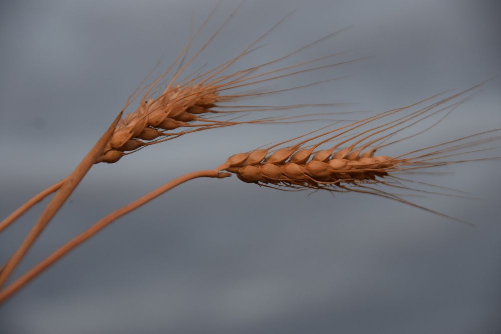 Photograph by Galina Leskova