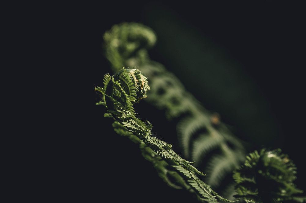 Photograph by Елена Гребнева