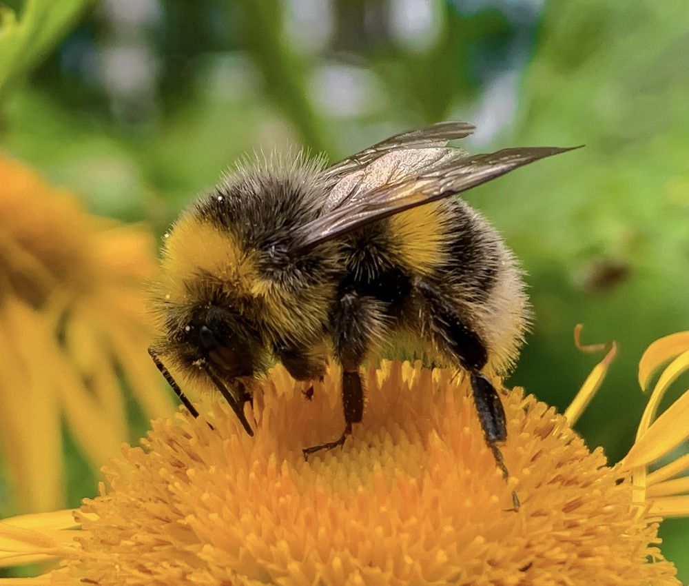 Photograph by Светлана