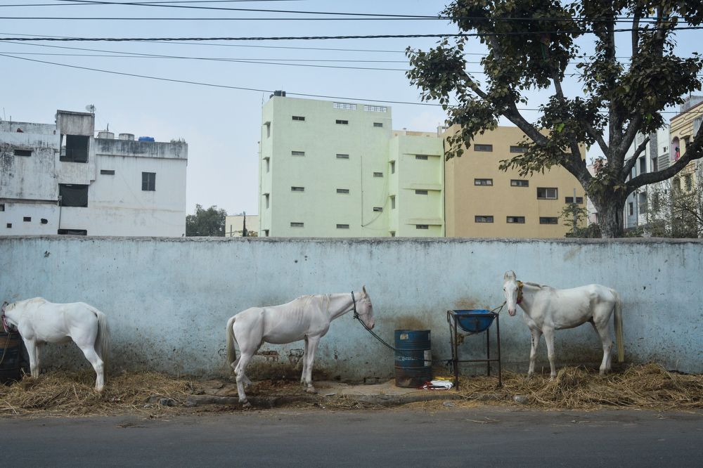 Photograph by Shreemoy Mishra