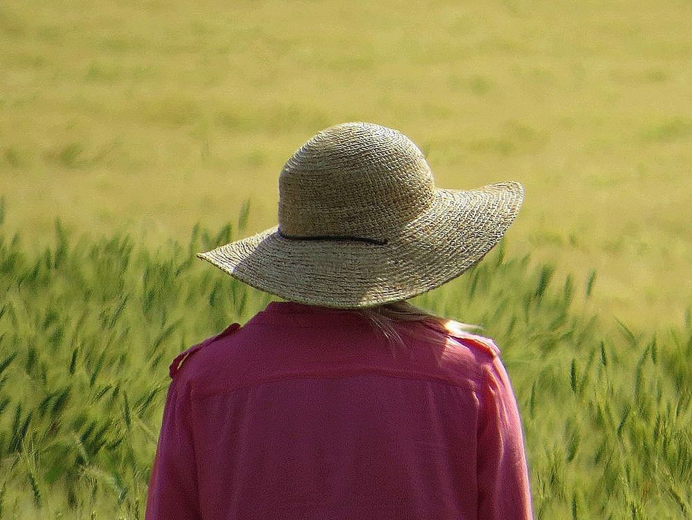 А кругом поле