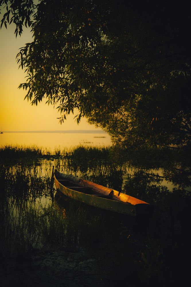 Photograph by Александр Поданев