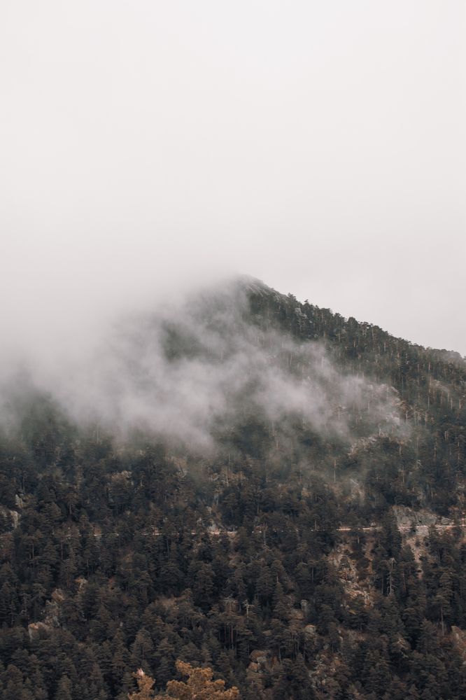 Photograph by sergio flores