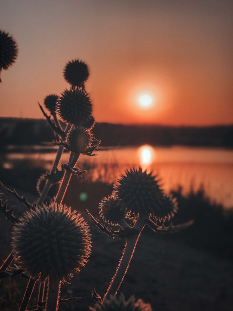 Photograph by Сергей Капитуров