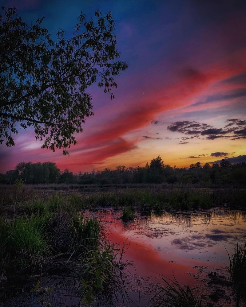 Photograph by Сергей Капитуров