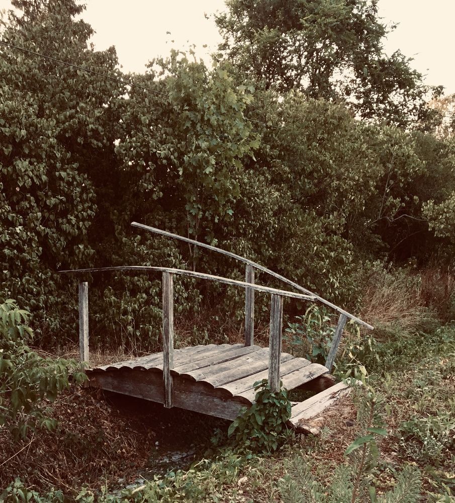 Фотография автора Елена Лицис