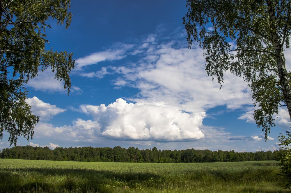 Облачная подушка - 1