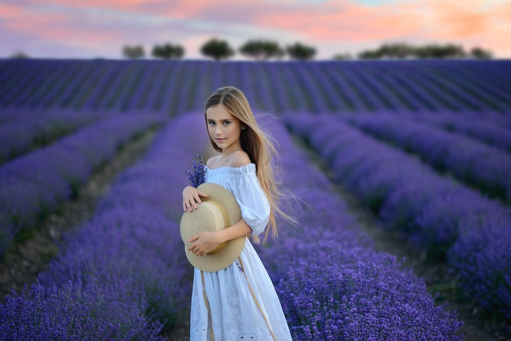 Лавандовый рай