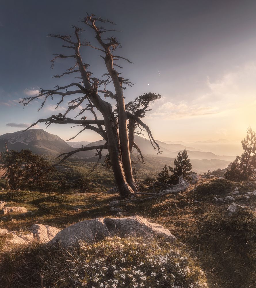 Photograph by gianluca dimonopoli