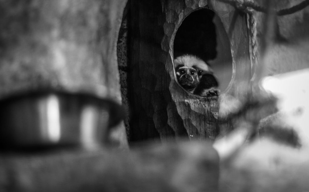 Photograph by Никита Капустин