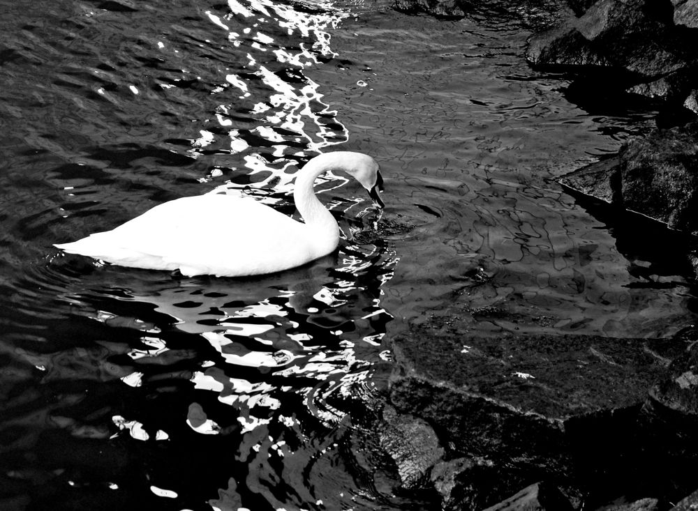 Photograph by Norayr Khazhakyan