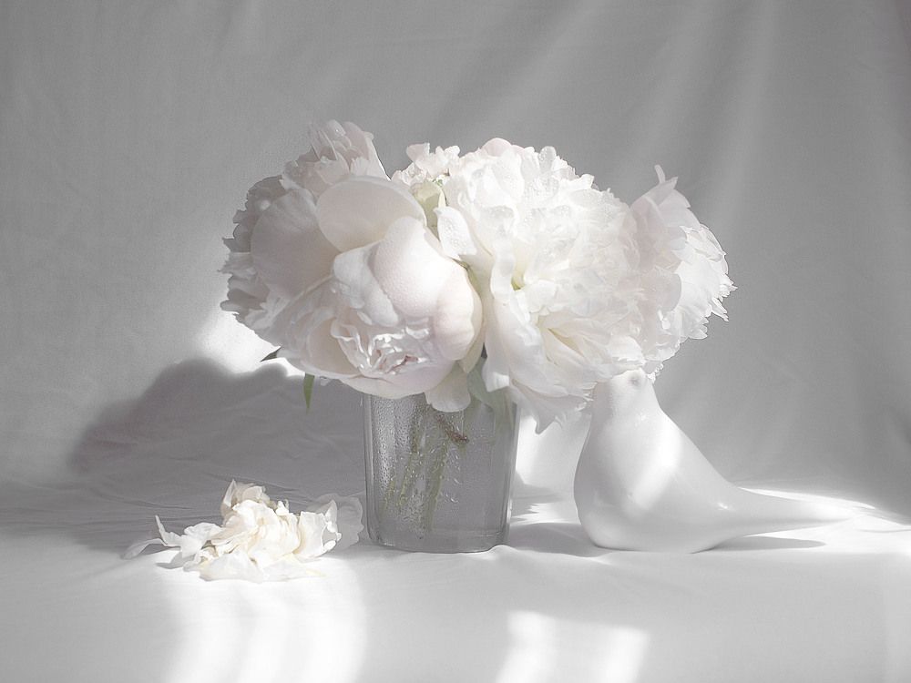 Photograph by Olga Rogozina