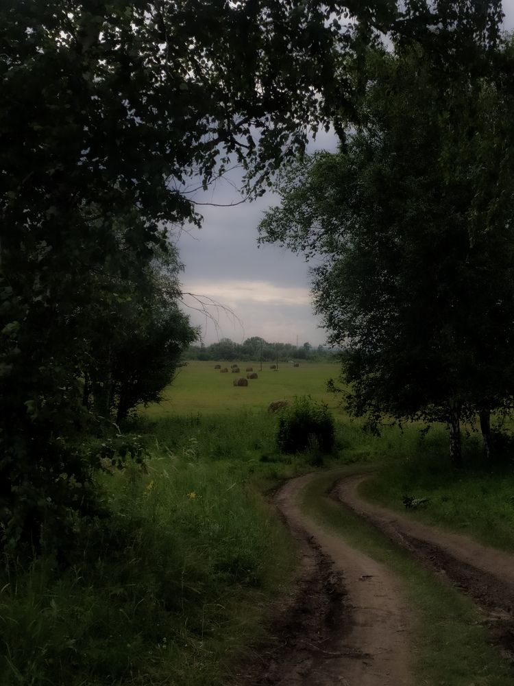 Photograph by Elena Kilina