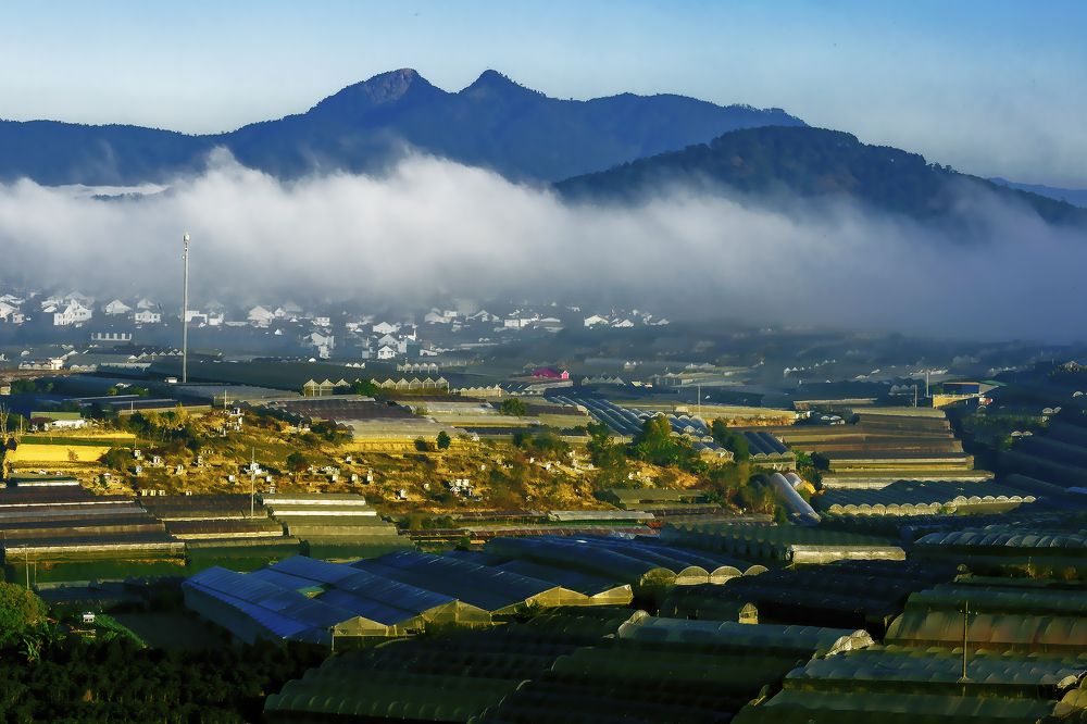 Photograph by DUONG QUANG NGHIA