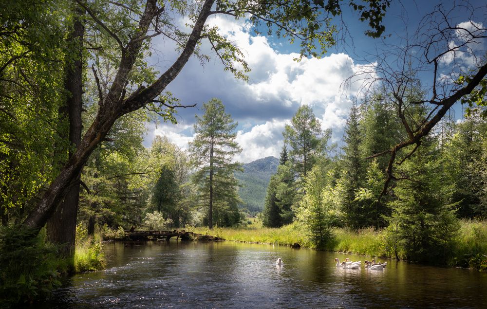 Photograph by Мария Камендова