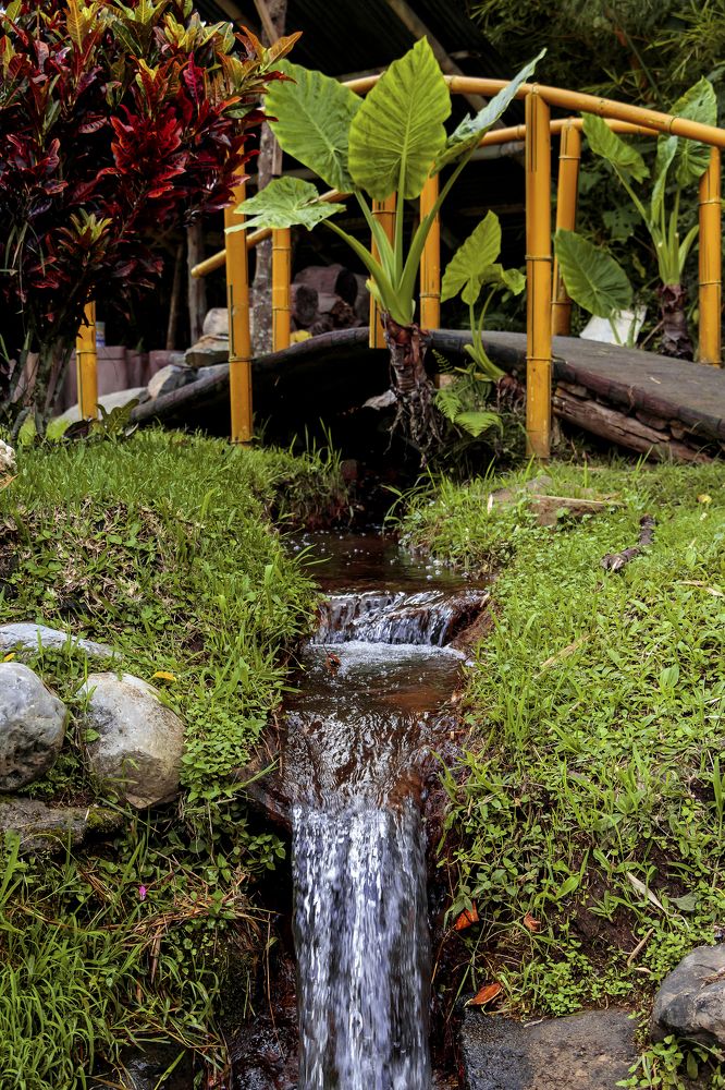 Little river under the bridge